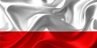 Zdalna nauka języka polskiego przez obcokrajowców