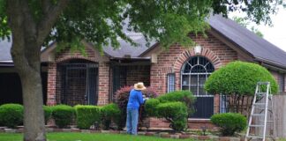 Jakie są wady samozatrudnienia?