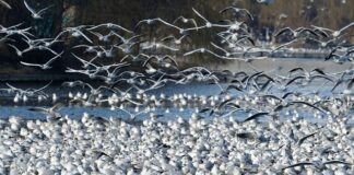 Czy Działki będą drożeć?