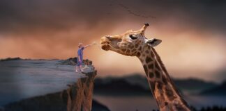 Jak żyć z procentów?