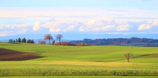 Czy 10 tys brutto to dużo?