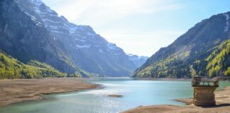 Czy płatność przelewem musi być na kasie fiskalnej?