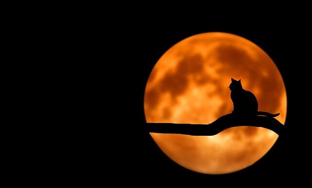 Jak prowadzić domowe finanse?