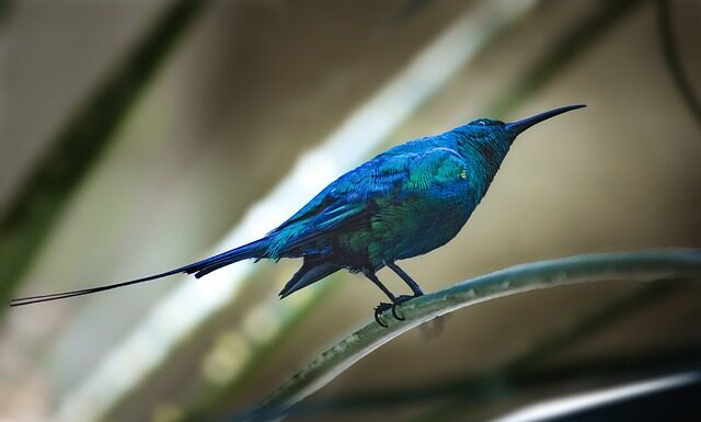 Ile zostaje na czysto z faktury? Ile zostaje na czysto z faktury?