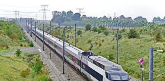 Kto nie składa pitu rocznego?