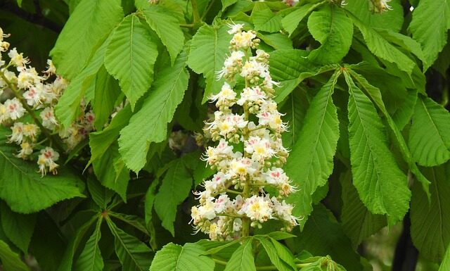 Ile trzeba mieć procent z matury żeby dostać się na studia?