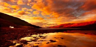 Jak sprawdzić majątek firmy?